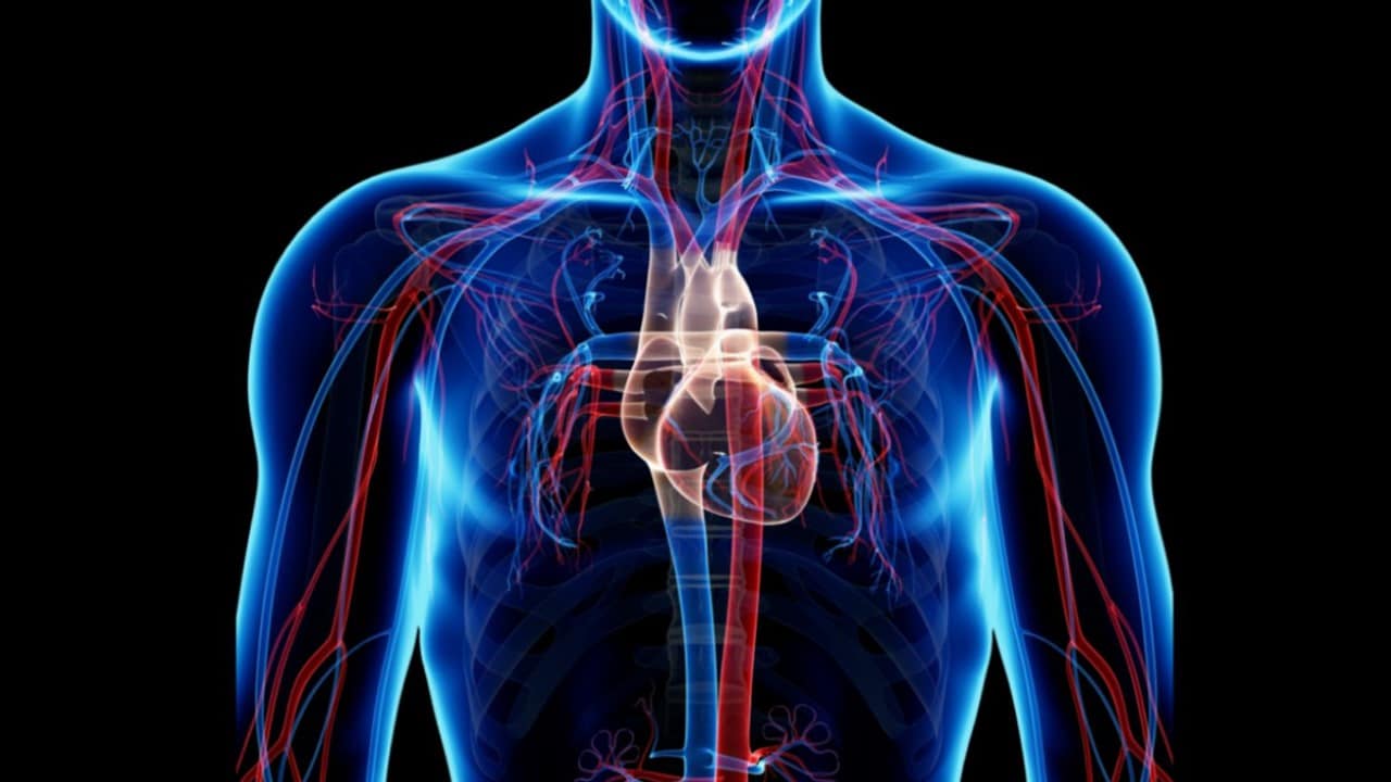 Health Alone Your Daily Health Partner And Care